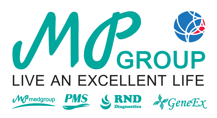 MP GROUP (THAILAND) COMPANY LIMITED
